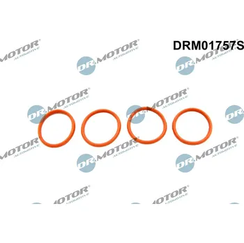 Těsnění motoru Sada těsnění, koleno sacího potrubí Dr.Motor Automotive DRM01757S