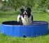 bazén pro psa Lagrada Skládací bazén pro psy 120 x 30 cm modrý/černý