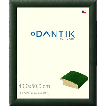 Rám na obraz DANTIK rámeček 40x50 | LEDVINKA zelená (Sklo Čiré) (Vyrobeno s láskou u nás v DANTIKU)