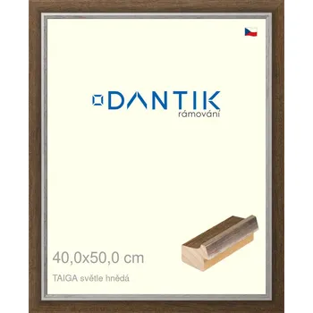 Rám na obraz DANTIK rámeček 40x50 | TAIGA sv.hnědá (Sklo Čiré) (Vyrobeno s láskou u nás v DANTIKU)