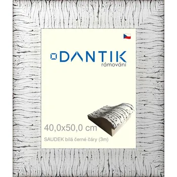 Rám na obraz DANTIK rámeček 40x50 | SAUDEK Bílá černé čáry (Plexi Čiré) (Vyrobeno s láskou u nás v DANTIKU)