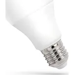 Spectrum LED LED žárovka Neutral GLS E-27 230V 13W NW WOJ+14102