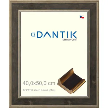 Rám na obraz DANTIK rámeček 40x50 | TOOTH zlato černá (Sklo Čiré) (Vyrobeno s láskou u nás v DANTIKU)