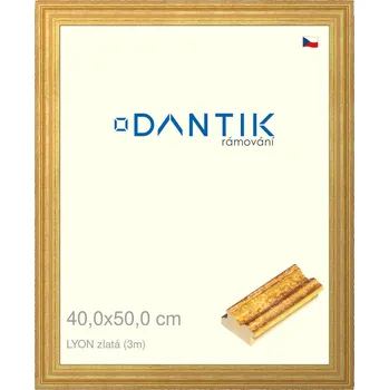 Rám na obraz DANTIK rámeček 40x50 | LYON zlatá (Sklo Čiré) (Vyrobeno s láskou u nás v DANTIKU)