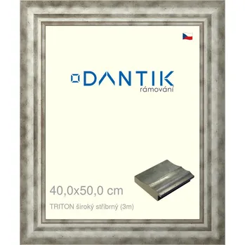 Rám na obraz DANTIK rámeček 40x50 | TRITON široký stříbrný (Sklo Čiré) (Vyrobeno s láskou u nás v DANTIKU)