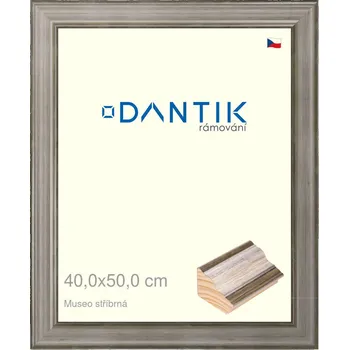 Rám na obraz DANTIK rámeček 40x50 | Museo stříbrná (Sklo Čiré) (Vyrobeno s láskou u nás v DANTIKU)