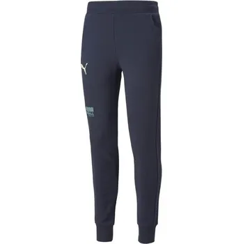 Pánské fotbalové tepláky Puma FUßBALL STREET PANTS XL Tmavě modrá, Mix