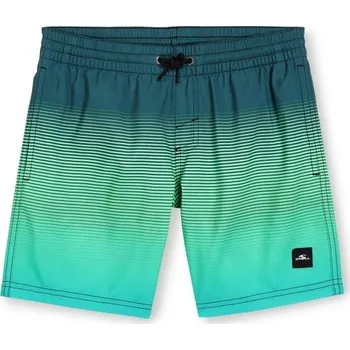 Chlapecké plavky Chlapecké plavecké šortky O'Neill JACK 128 Zelená