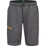 Dětské kraťasy Hannah INGO JR 158/164 Tmavě šedá, Žlutá