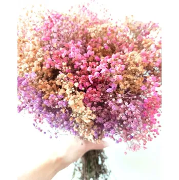 umělá květina Nevěstin závoj/stabilizovaná Gypsophila svazek/kytice duhová růžovofialová 160g