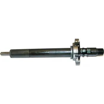Delphi R06001D