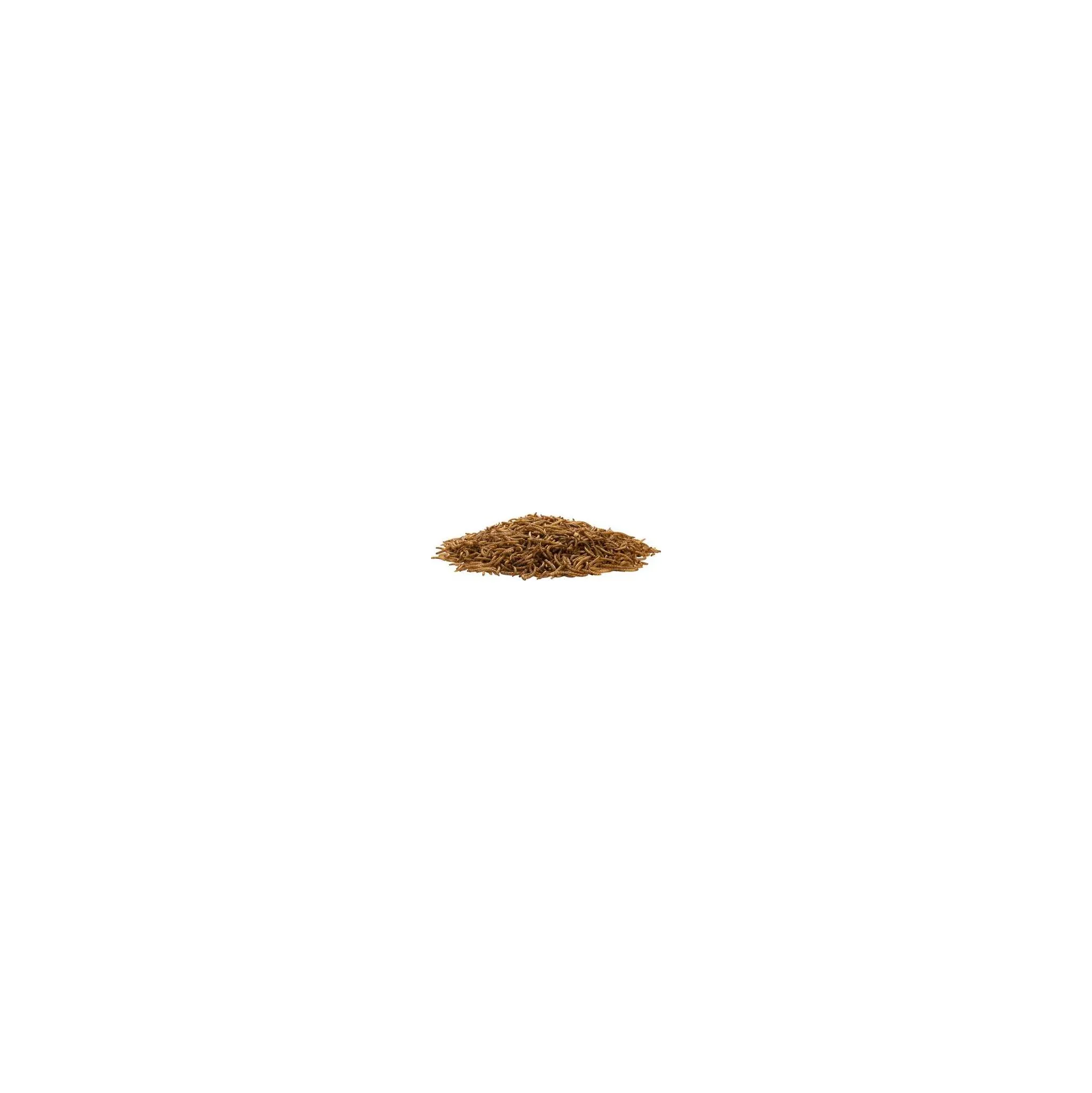 Fotografie 2 - Krmivo pro ptáka UGF Sušení mouční červi 500 g