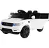 Dětské elektrovozidlo Ramiz Land Rapid Racer