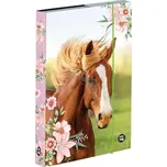 Karton P+P Box na sešity A5