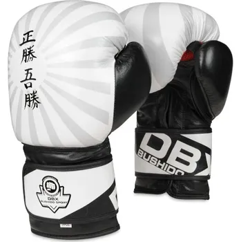 Boxerské rukavice Boxerské rukavice DBX BUSHIDO B-2v8 12oz