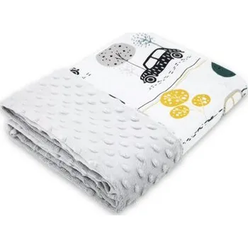 Dětská deka Cosing Deka Minky, Auto