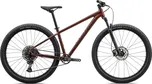 Specialized Rockhopper Expert 29" Gloss…