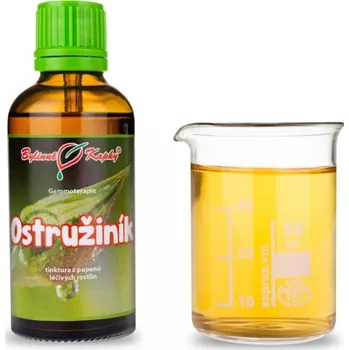Přírodní produkt Bylinné kapky s.r.o. Ostružiník 50 ml