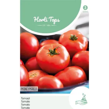 Semeno Semena - RAJČE TYČKOVÉ ´MONEYMAKER´