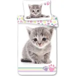 Bavlněné povlečení kočka 70x90, 140x200 Kitten colour