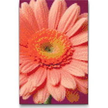 Diamantové malování Diamantové malování - Květ gerbery Velikost: 20x30cm, Rámování: Pouze srolované plátno, Diamanty: Kulaté