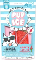 Pup Ice Chladicí pochoutka vodní meloun 90 g