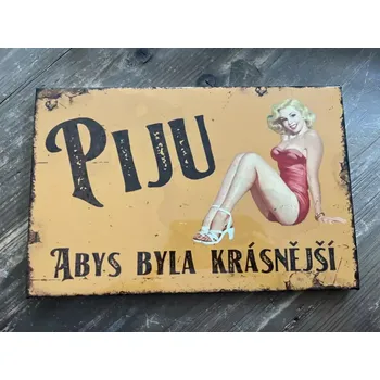 Plechová cedule Plechová cedule Piju abys…28,5x18,5cm