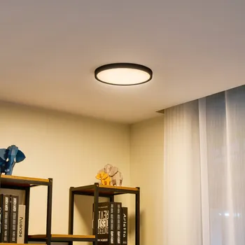 Lindby LED stropní svítidlo Pravin, Ø 30 cm, CCT, černé - Ø stříšky 29 cm matná černá, bílá LED 17 W celkem - Doprava zdarma