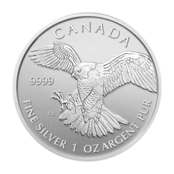 1 unce stříbrná mince Canada Birds of Prey - Peregrine Falcon 2014 - Wanderfalke