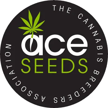 Semeno ACE Seeds Zamaldelica Počet ks Feminizované: 1