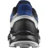 Pánská běžecká obuv Salomon Supercross 4 GTX L47119600