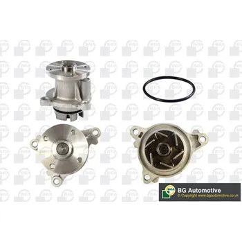 Vodní pumpa motoru Vodní čerpadlo, , 2510003011, BGA, CP2799