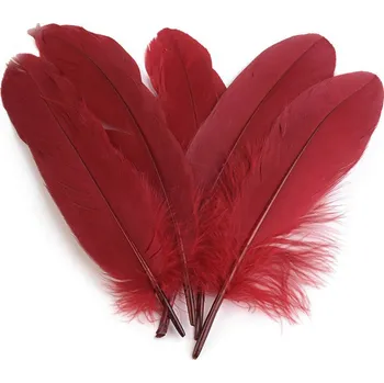 Husí peří délka 12-21 cm