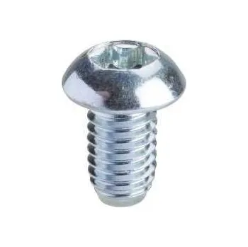 Šroub Schneider Electric NSYSPM6 Šroub Torx T30 M6x10 (obj.množství 50ks)