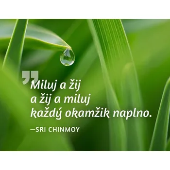 Dekorativní magnet Magnet na lednici - Miluj a žij a žij a miluj každý okamžik naplno.