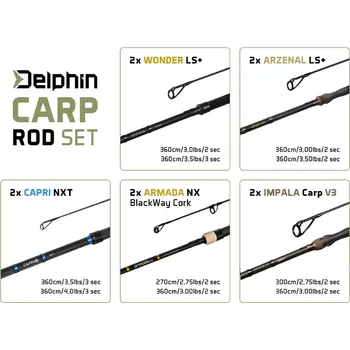 Rybářský prut Set prútov Delphin CARP