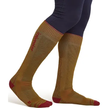 Pánské ponožky Pánské merino lyžařské ponožky ICEBREAKER Mens Ski+ Medium OTC Mountain Contour, Algae/Port/Loden velikost: 47-49 (XL)