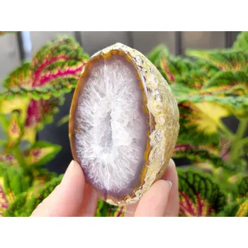 Sběratelství Achát hnědý geoda s dutinkou 223g (Brazílie)