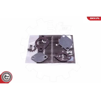 Ventil palivového systému SKV Sada na opravu, ventil AGR 14SKV561