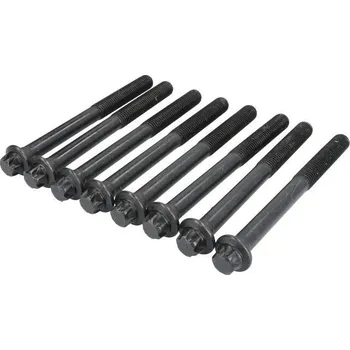 Sada šroubů hlavy MAN