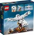 Stavebnice LEGO LEGO Harry Potter TM 75979 Hedvika