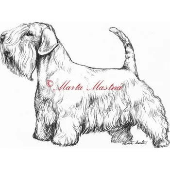 Samolepka sealyham teriér - archiv c545 - Malá - přibližně jako pohlednice