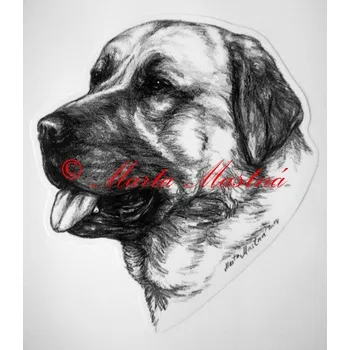 Samolepka anatolský pastevecký pes, kangal - archiv c403 - Malá - přibližně jako pohlednice