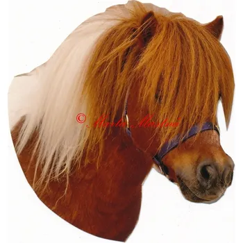 Samolepka shetlandský pony rezavý s bílou, kůň, koně