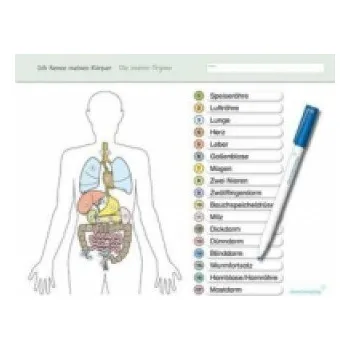 Cizí jazyk Ich kenne meinen Körper - Die inneren Organe: Für die 3. bis 6. Klasse - Stabile wiederbeschreibbare Lernvorlage im großen Format (Vorder- und Rückseite) mit Spezialstift - trocken abwischbar ohne zu schmieren – Katrin Langhans (DE)