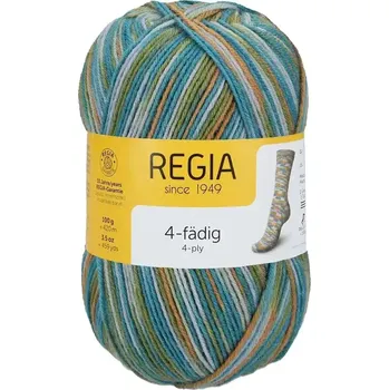 Příze Regia 4-Ply Color 1294 hippie bus color (Ponožková příze Regia 1294 hippie bus color)