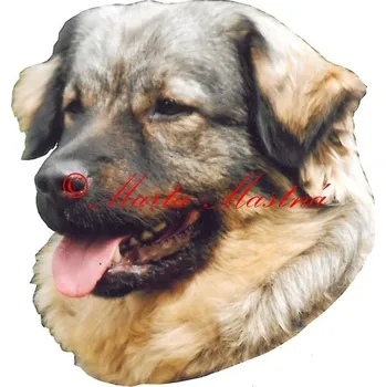 Samolepka krašský ovčák, pastevecký - archiv 137