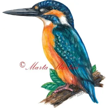 Samolepka ledňáček říční