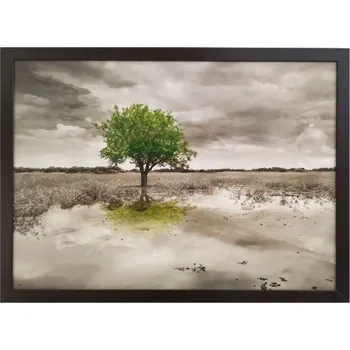 Obraz Bondecor Obraz v rámu tisk na papír lepený na MDF desku, 50x70 cm, Zelený strom