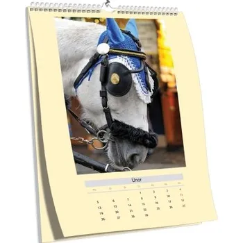 Fotokalendář Nástěnný kalendář NKN-63 (dříve NKZ-03) (A5)